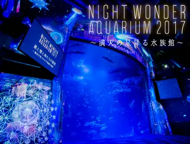 NIGHT WONDER AQUARIUM2017